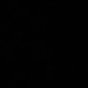 Meet your Posher, Bre